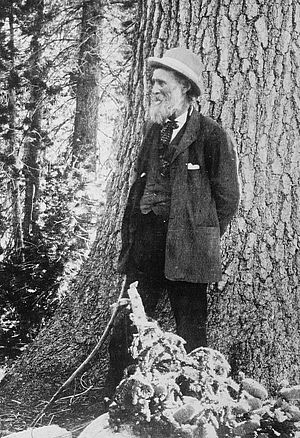 American conservationist John Muir (1838-1914)